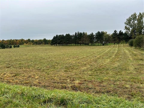Vacant Land For Sale - 00 Plank Road<br/> Pamelia, NY 13616