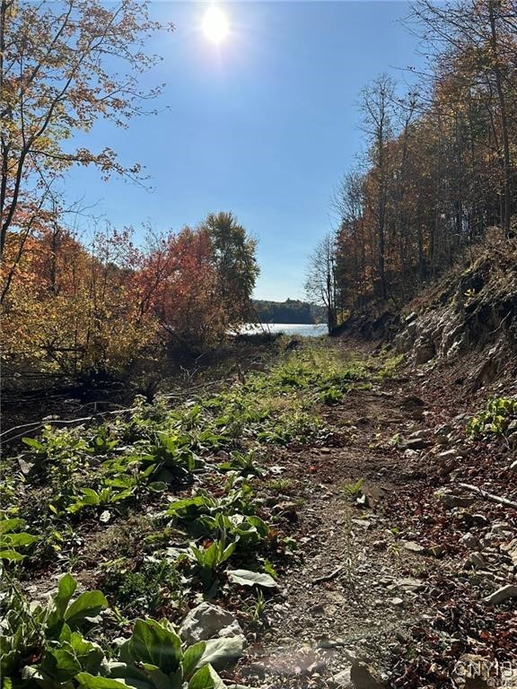 00 Sheley Rd Road #85, Theresa, New York image 12
