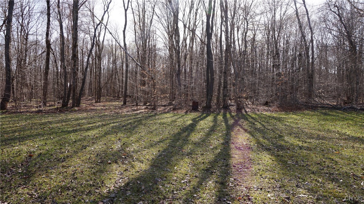 59 Lake Pennock Drive, Orwell, New York image 32