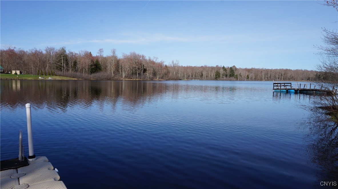 59 Lake Pennock Drive, Orwell, New York image 10