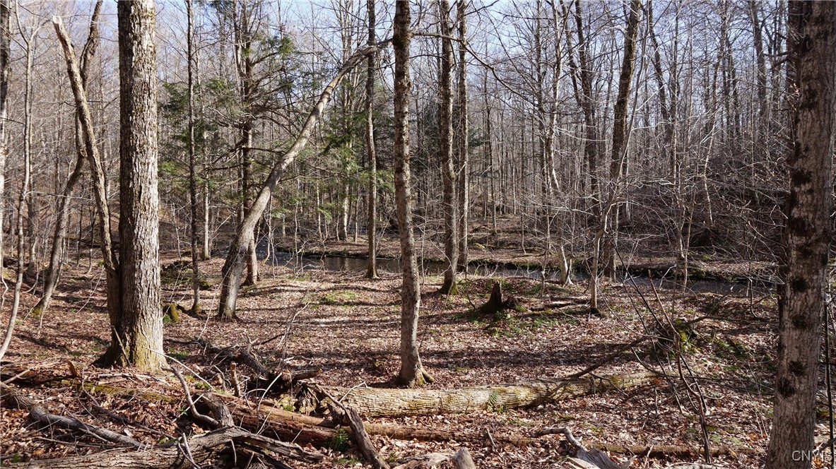 59 Lake Pennock Drive, Orwell, New York image 33