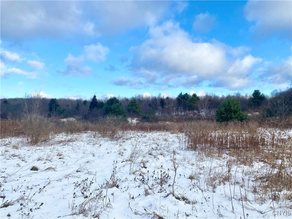 Photo of County Route 4, Palermo, NY 13069 (MLS # S1652795)