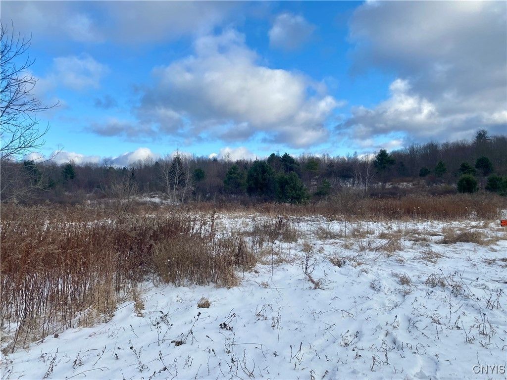 Photo of County Route 4, Palermo, NY 13069 (MLS # S1652795)