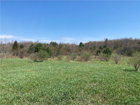 Vacant Land For Sale - County Route 4<br/> Palermo, NY 13069