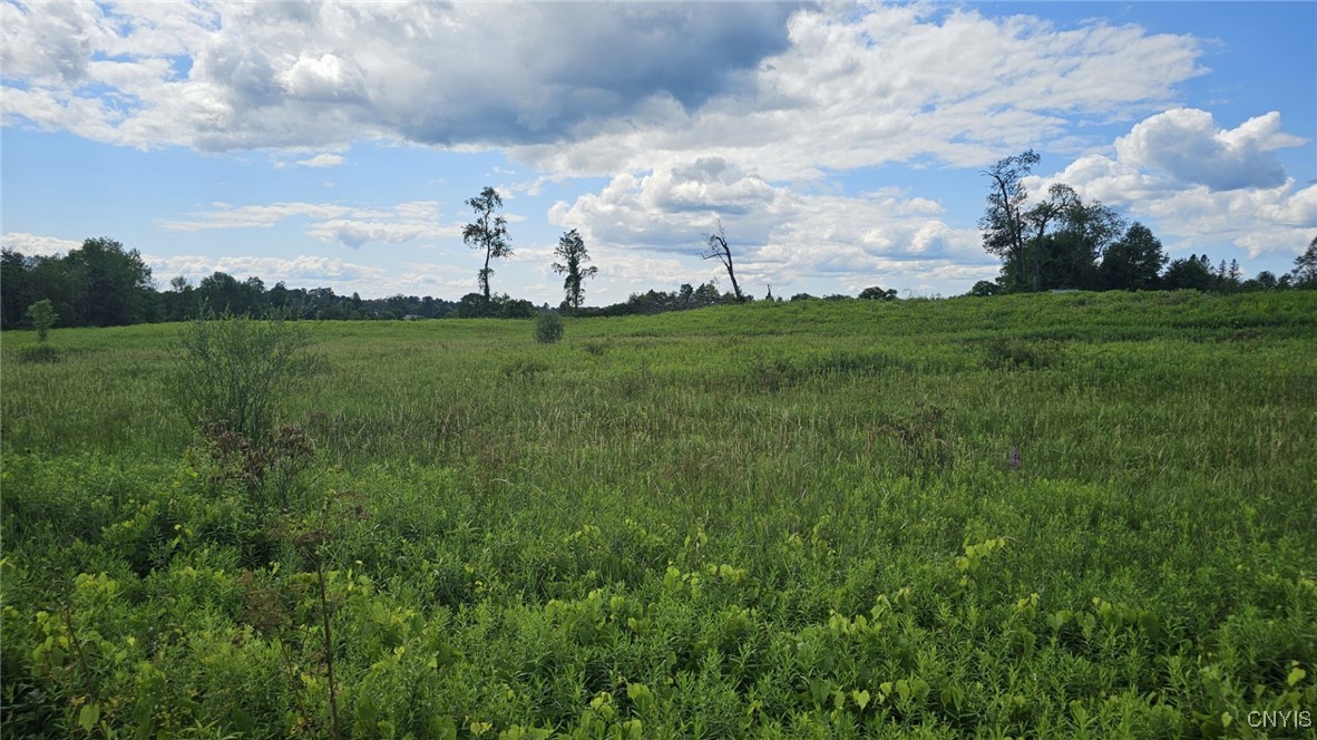 8083 Link Road