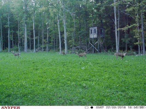 Tiny photo for E Lee Road, Albion, NY 14411 (MLS # S1715443)
