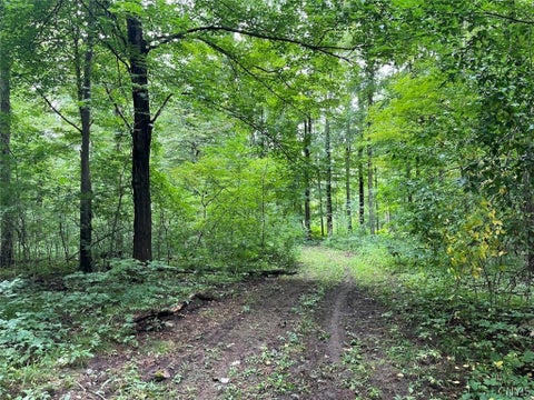 Photo of E Lee Road, Albion, NY 14411 (MLS # S1715443)