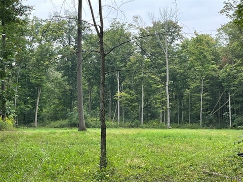 Tiny photo for E Lee Road, Albion, NY 14411 (MLS # S1715443)