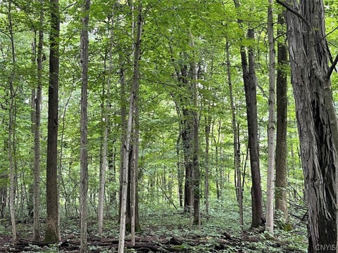 Tiny photo for E Lee Road, Albion, NY 14411 (MLS # S1715443)