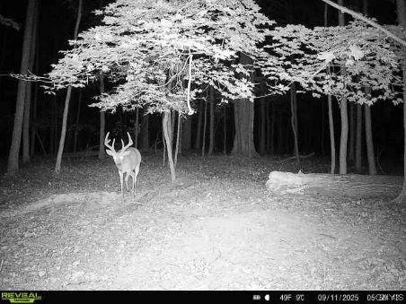 Tiny photo for E Lee Road, Albion, NY 14411 (MLS # S1715443)