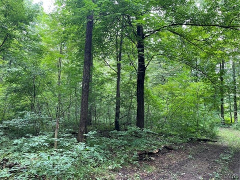 Tiny photo for E Lee Road, Albion, NY 14411 (MLS # S1715443)