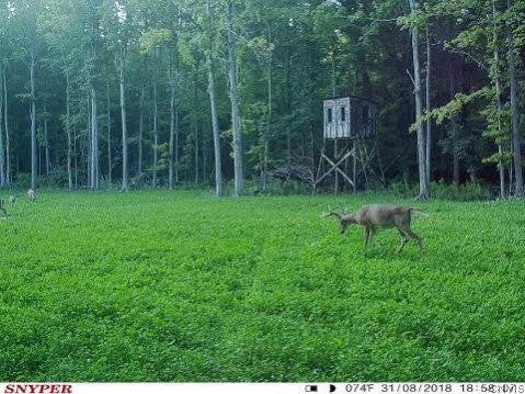 Tiny photo for E Lee Road, Albion, NY 14411 (MLS # S1715443)