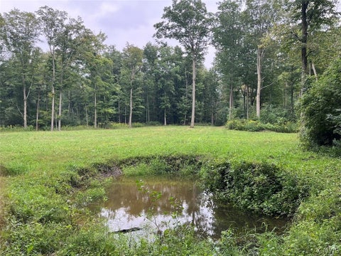 Tiny photo for E Lee Road, Albion, NY 14411 (MLS # S1715443)