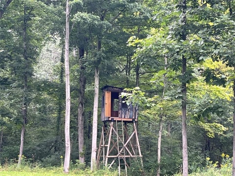 Tiny photo for E Lee Road, Albion, NY 14411 (MLS # S1715443)
