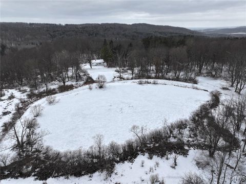 Homes For Sale - 10020 Mclaughlin Road<br/> Machias, NY 14171