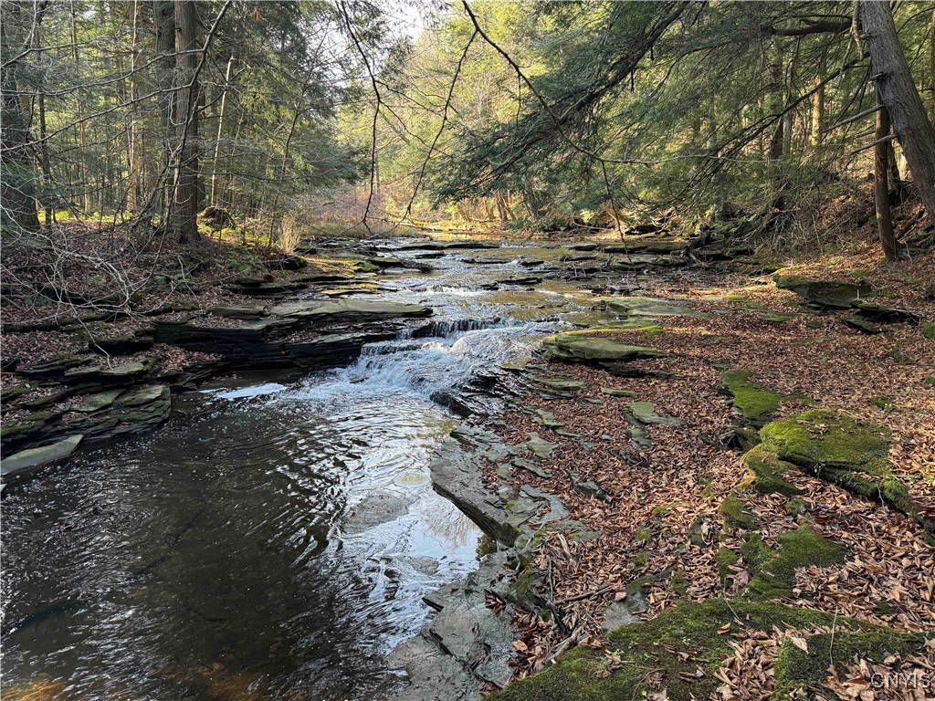 Post Road, Ripley, New York image 1