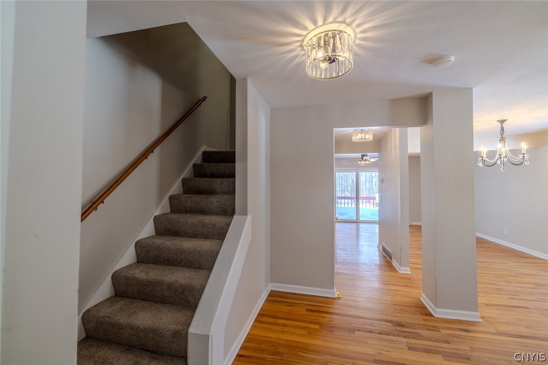 4225 Anguilla Drive