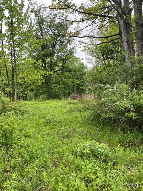 Vacant Land For Sale - Seymour Lane<br/> Westmoreland, NY 13490