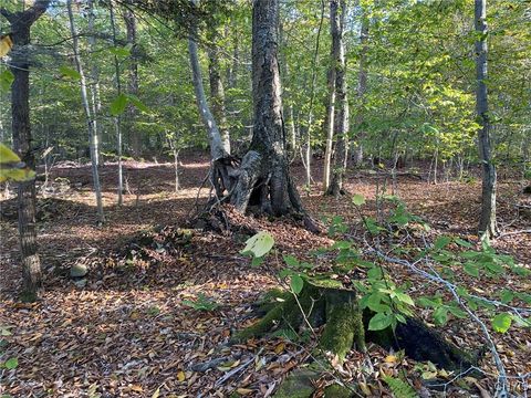 Tiny photo for Voorhees Road, Parish, NY 13131 (MLS # S1648650)