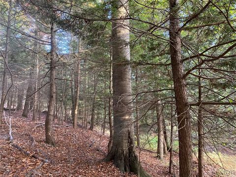 Tiny photo for Voorhees Road, Parish, NY 13131 (MLS # S1648650)