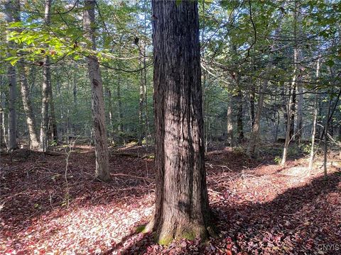Tiny photo for Voorhees Road, Parish, NY 13131 (MLS # S1648650)