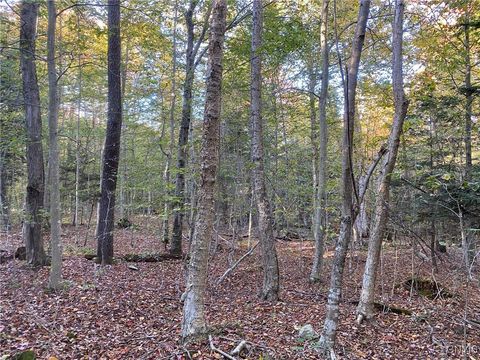 Tiny photo for Voorhees Road, Parish, NY 13131 (MLS # S1648650)