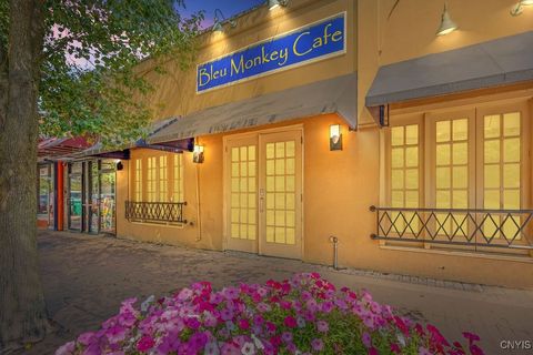 163 Marshall Street Syracuse NY 13210