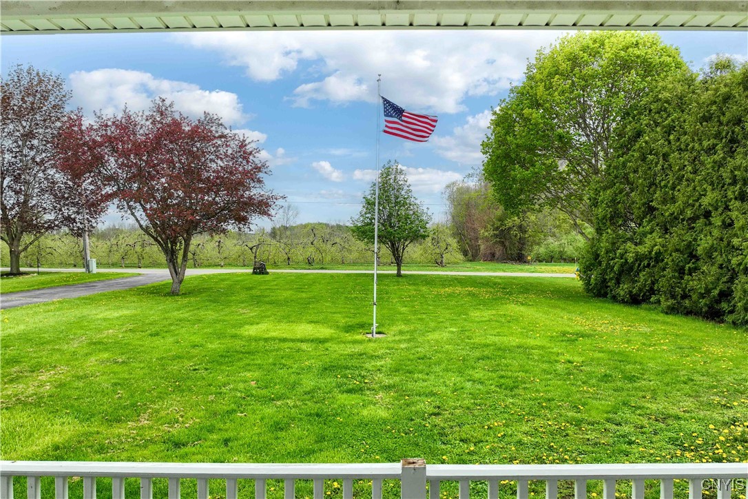 6497 Joy Road, Sodus, New York image 8