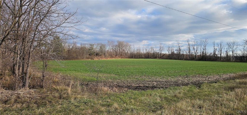 Photo of Rte 96a, Varick, NY 14521 (MLS # S1652739)