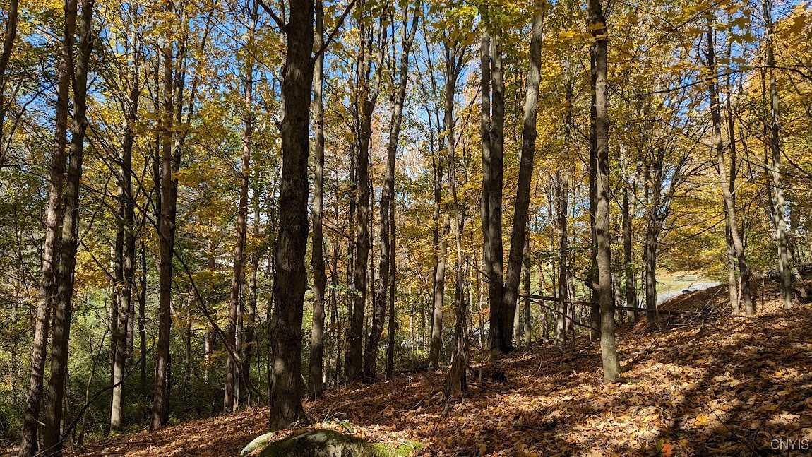 Johnny Cake Hill Road, Madison, New York image 6