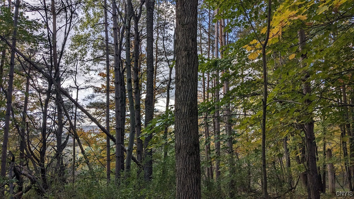 Johnny Cake Hill Road, Madison, New York image 12