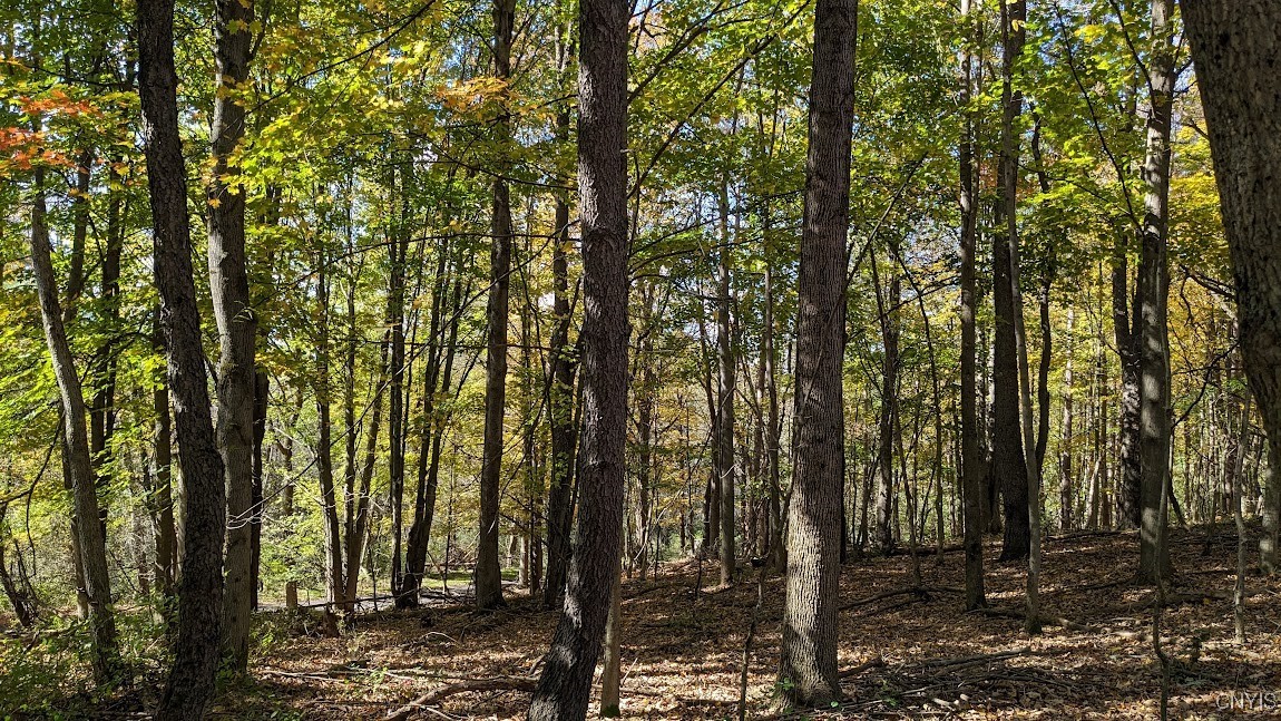 Johnny Cake Hill Road, Madison, New York image 7