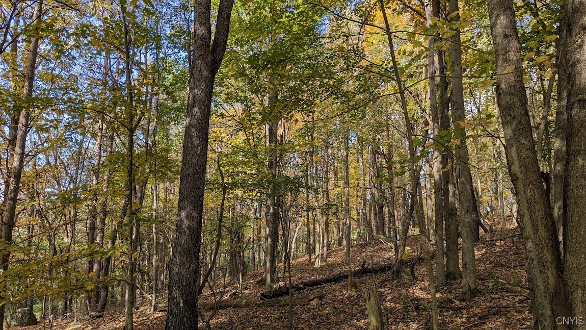 Johnny Cake Hill Road, Madison, New York image 13