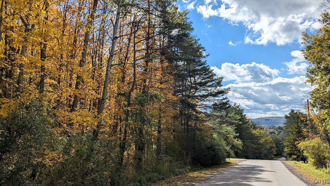 Johnny Cake Hill Road, Madison, New York image 1