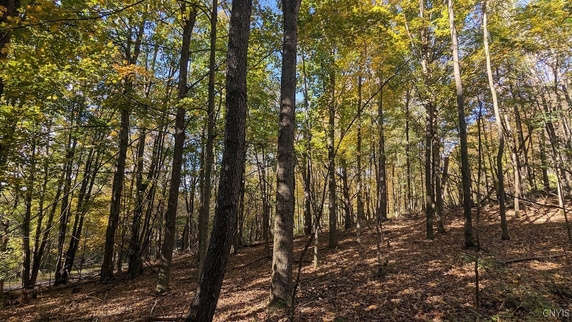 Johnny Cake Hill Road, Madison, New York image 9