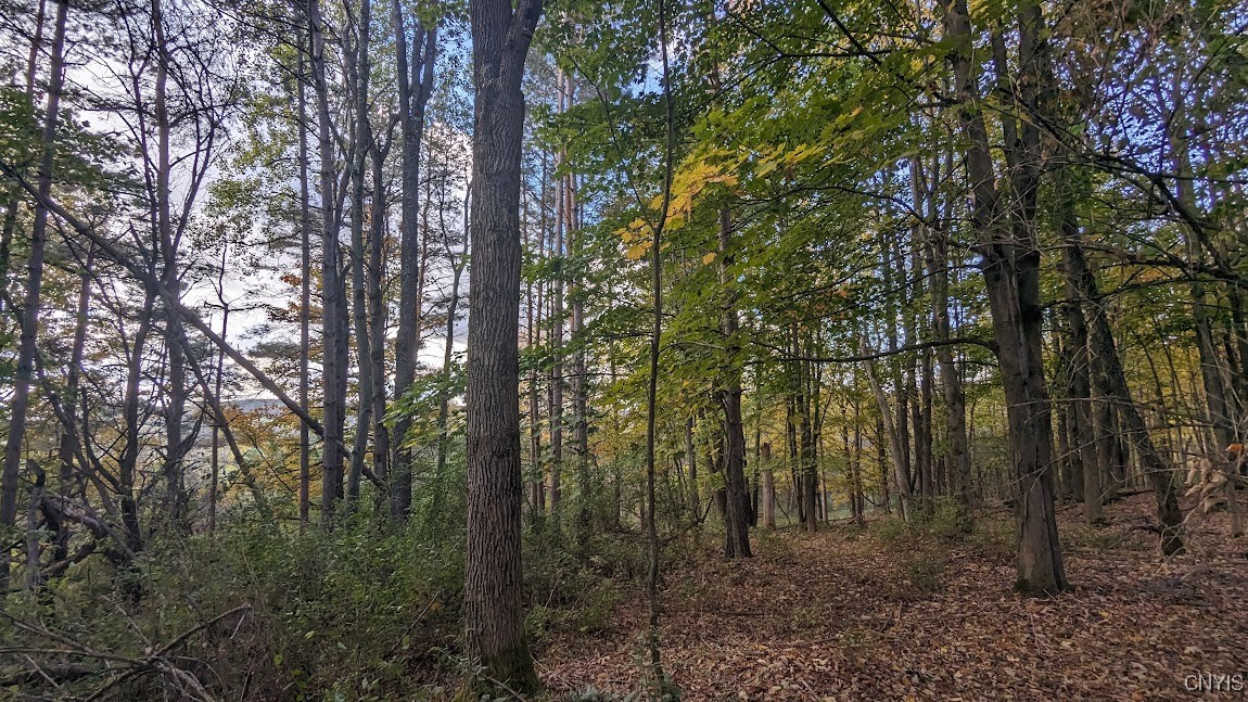 Johnny Cake Hill Road, Madison, New York image 11