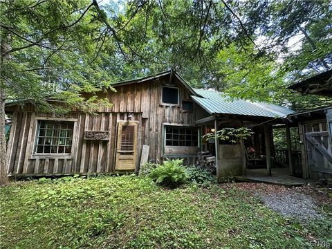 Vacant Land For Sale - Brown Road<br/> Lorraine, NY 13659
