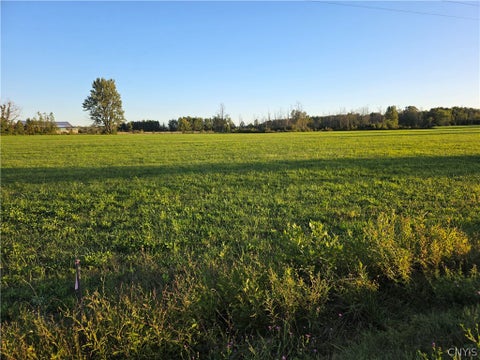 Vacant Land For Sale - 4154 #3 Carpenter Road<br/> Verona, NY 13478