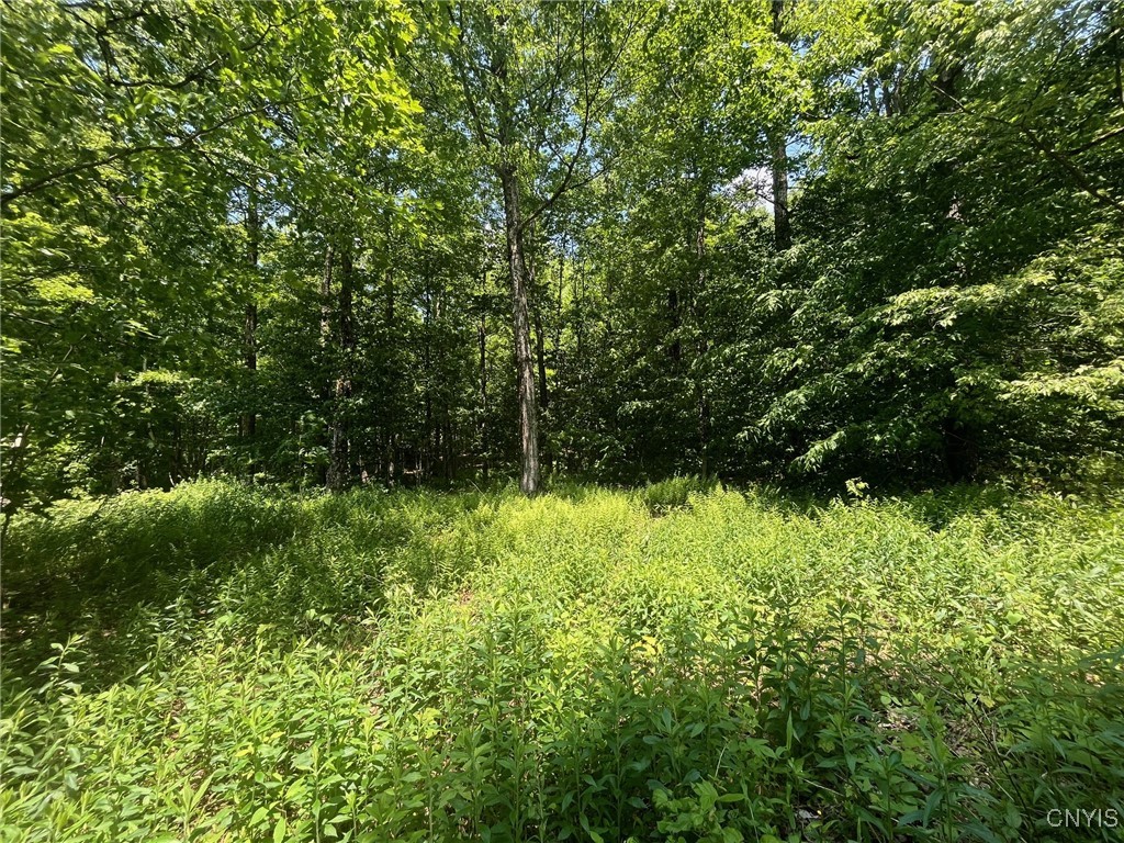 Redfield, New York 13437, United States, 3 Bedrooms Bedrooms, ,1 BathroomBathrooms,Land,Active,151156