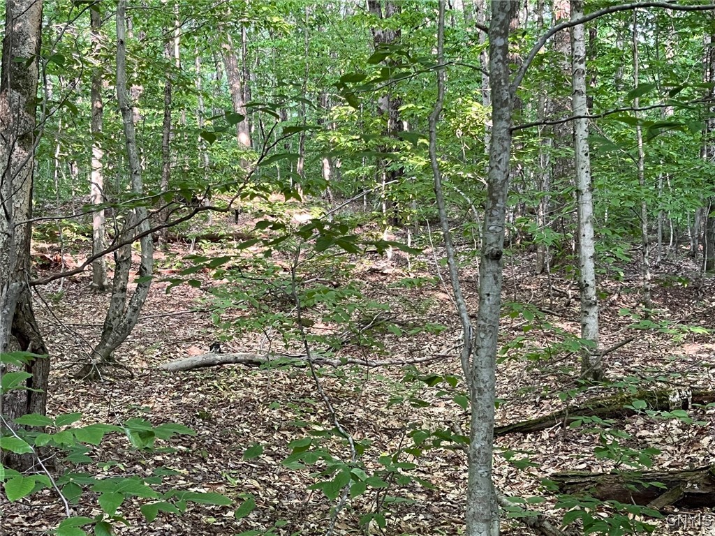 Redfield, New York 13437, United States, 3 Bedrooms Bedrooms, ,1 BathroomBathrooms,Land,Active,151156