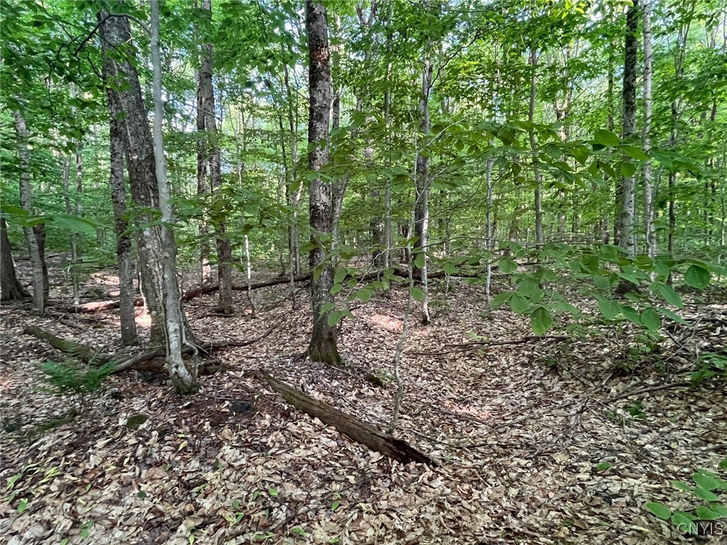 Redfield, New York 13437, United States, 3 Bedrooms Bedrooms, ,1 BathroomBathrooms,Land,Active,151156