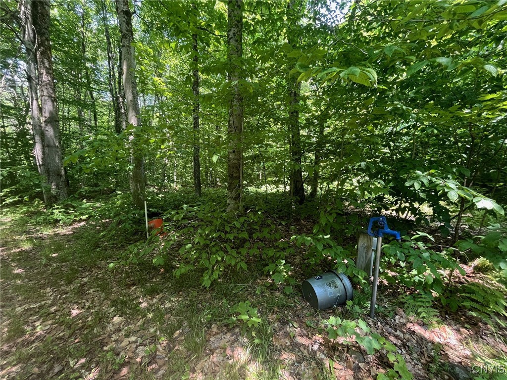 Redfield, New York 13437, United States, 3 Bedrooms Bedrooms, ,1 BathroomBathrooms,Land,Active,151156