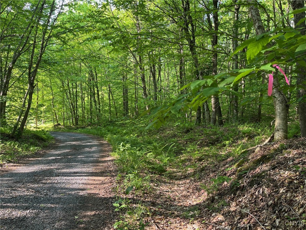 Redfield, New York 13437, United States, 3 Bedrooms Bedrooms, ,1 BathroomBathrooms,Land,Active,151156