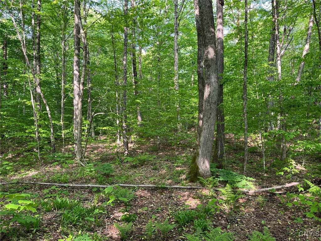 Redfield, New York 13437, United States, 3 Bedrooms Bedrooms, ,1 BathroomBathrooms,Land,Active,151156