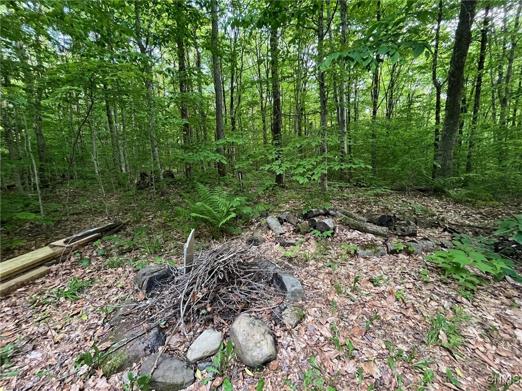 Redfield, New York 13437, United States, 3 Bedrooms Bedrooms, ,1 BathroomBathrooms,Land,Active,151156