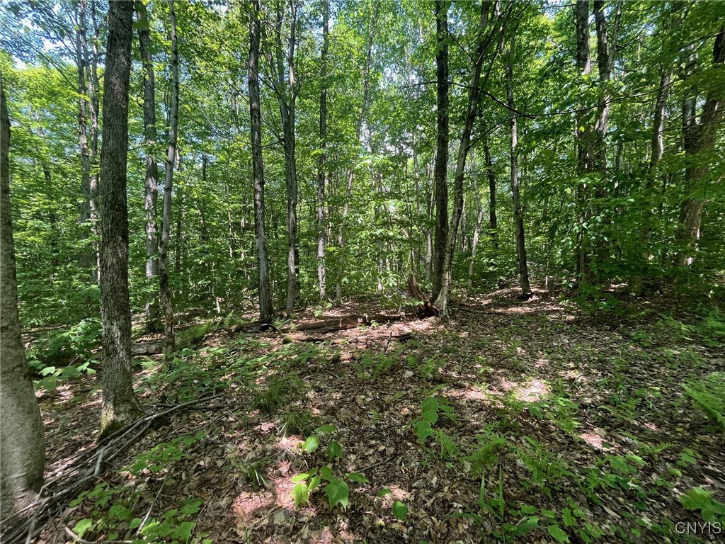 Redfield, New York 13437, United States, 3 Bedrooms Bedrooms, ,1 BathroomBathrooms,Land,Active,151156