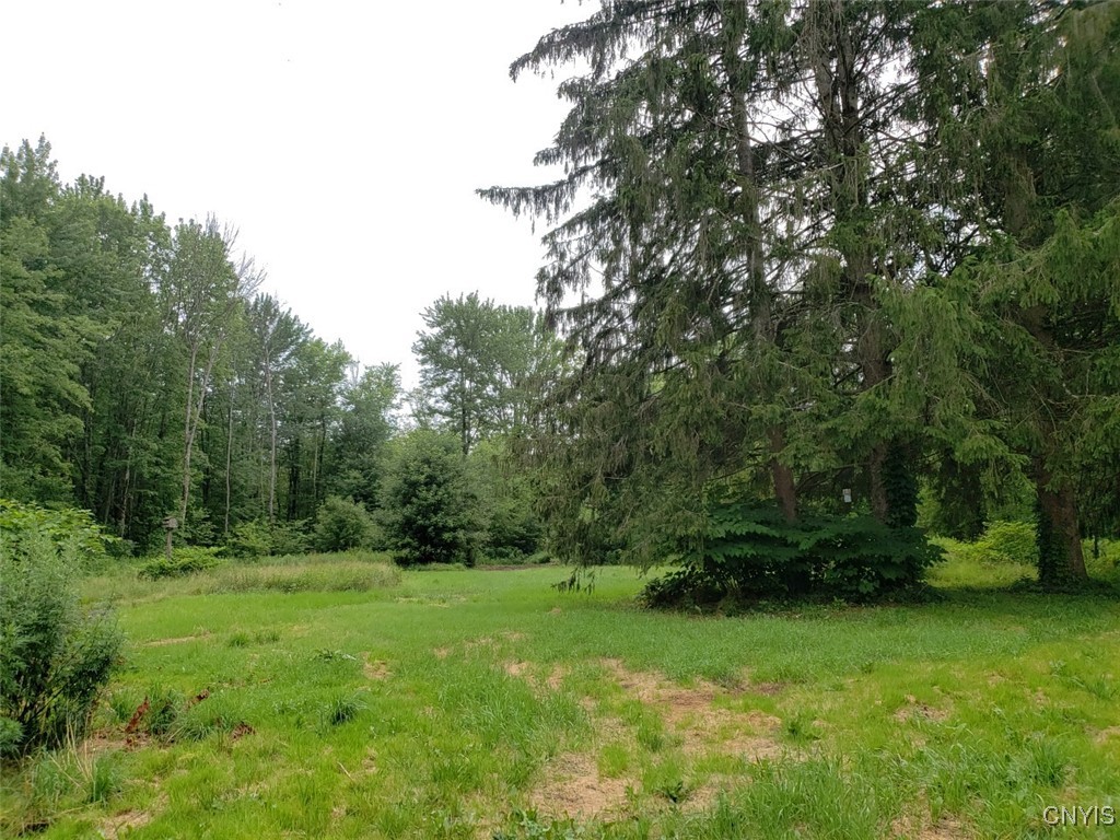 3119 County Route 4