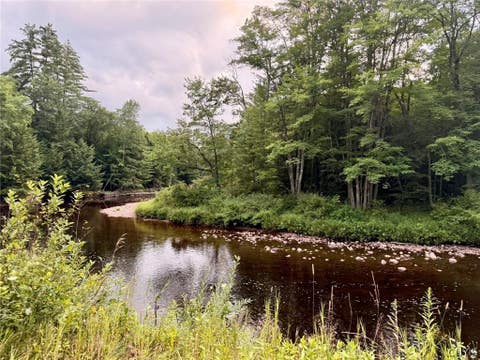 Vacant Land For Sale - Donnattsburg Road<br/> Lewis County, Greig, NY 13345