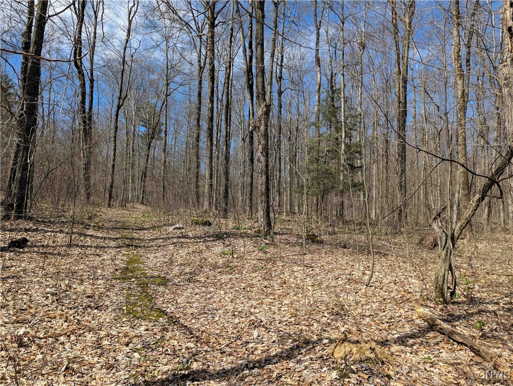 Swartz Road, Springwater, New York image 20