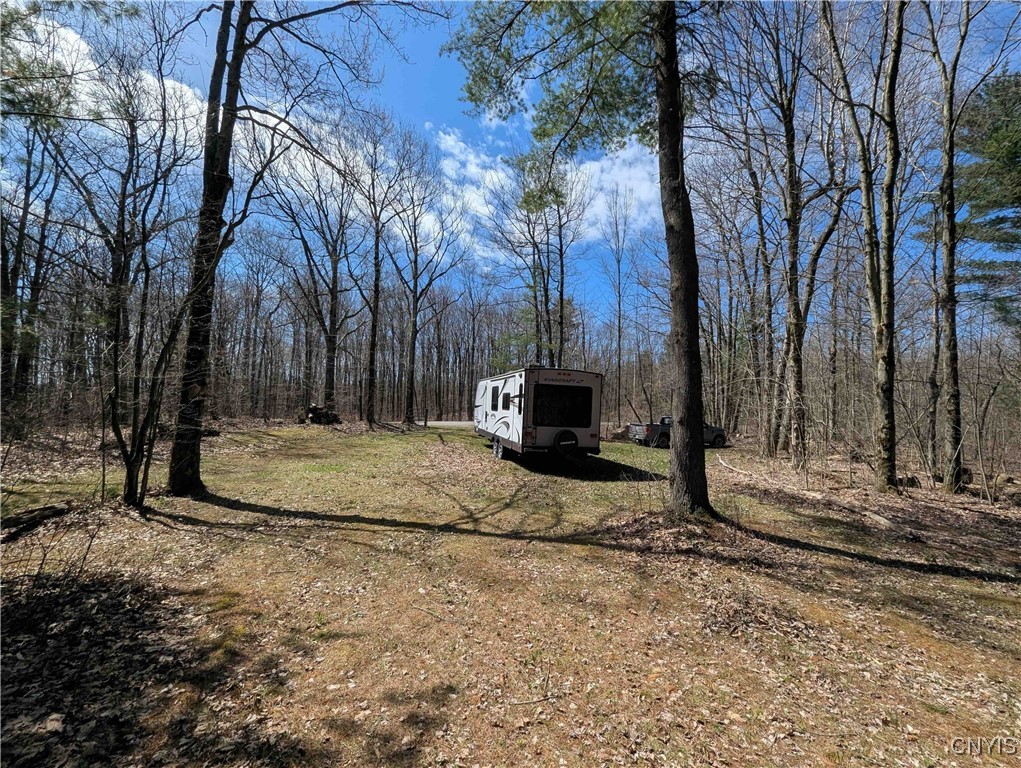 Swartz Road, Springwater, New York image 40